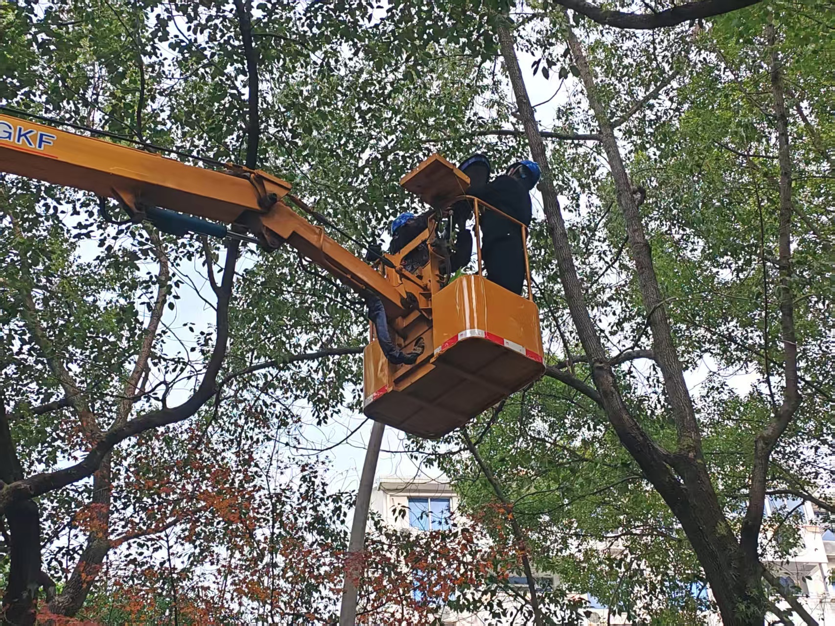 1767950860160184.jpg 微信圖片_20260108090509_291_129.jpg